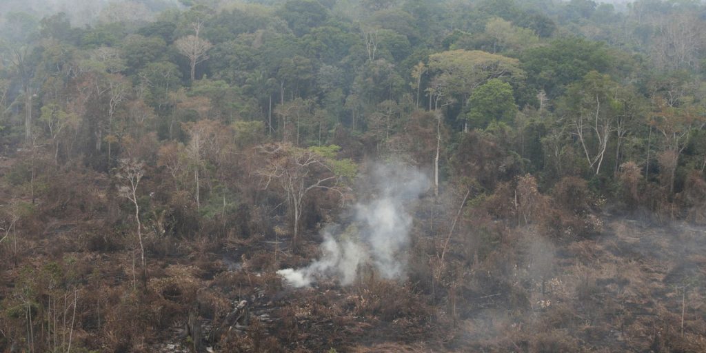 Pará declares emergency and prohibits the use of fire in pastures