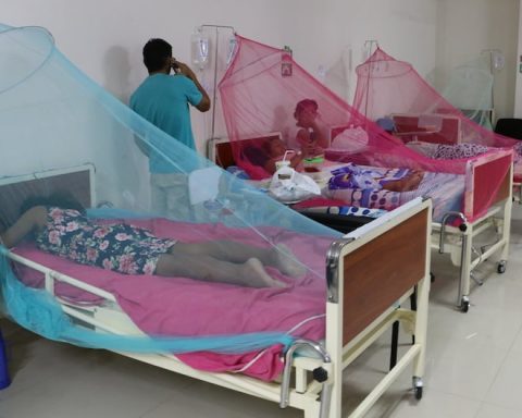 Peru enters endemic phase of dengue