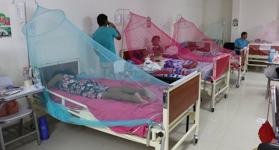 Peru enters endemic phase of dengue