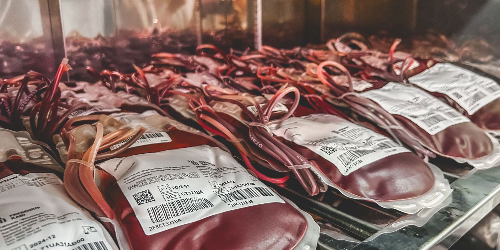 STF to decide whether Jehovah's Witnesses can refuse blood transfusion