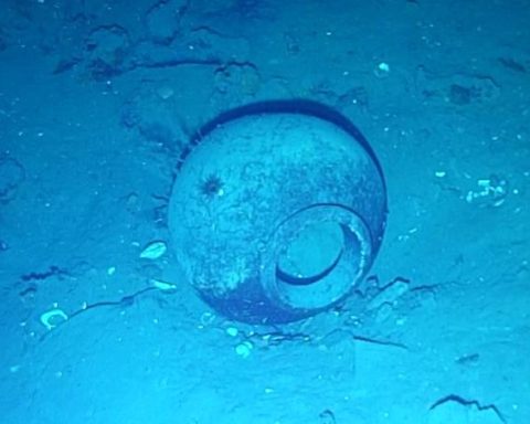 San José Galleon: expedition discovered new archaeological pieces