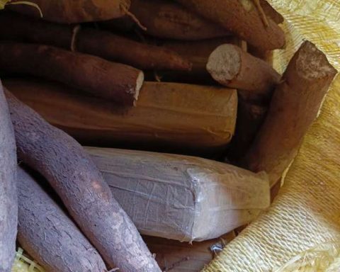 San Matías: 30 drug packages found camouflaged in packages of cassava and used clothing