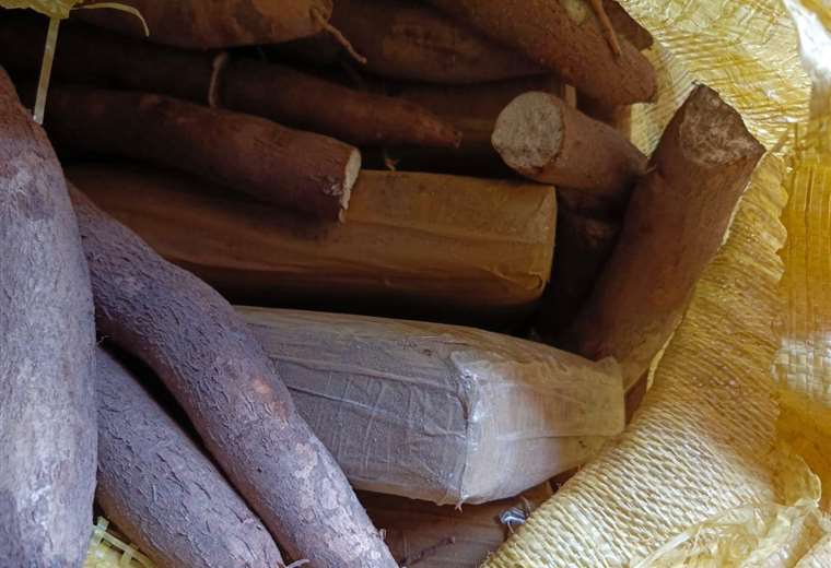 San Matías: 30 drug packages found camouflaged in packages of cassava and used clothing