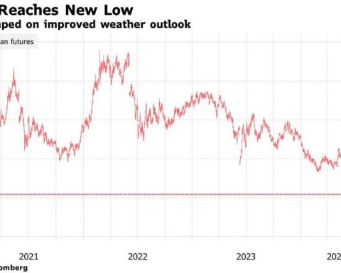 Soybean prices plummet to $350 a tonne due to higher US production