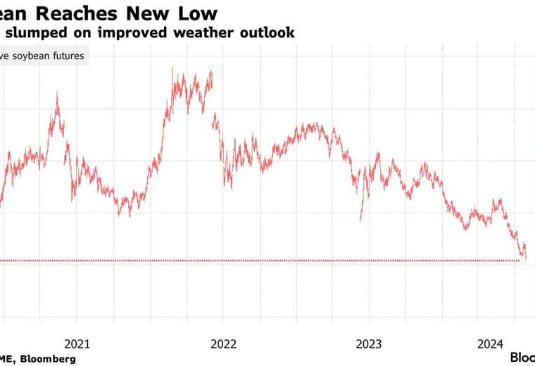 Soybean prices plummet to $350 a tonne due to higher US production