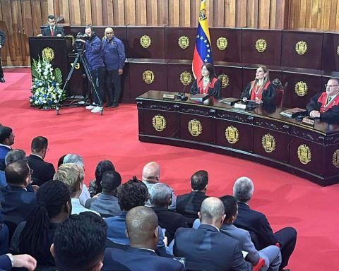 TSJ will carry out an expert appraisal of the electoral material and its decisions are final