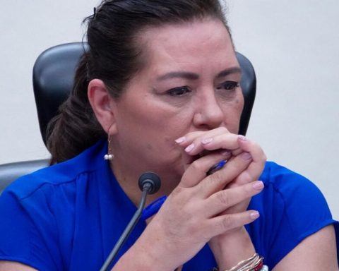 Taddei: “The INE does not remove or appoint deputies; what the law says will be done”