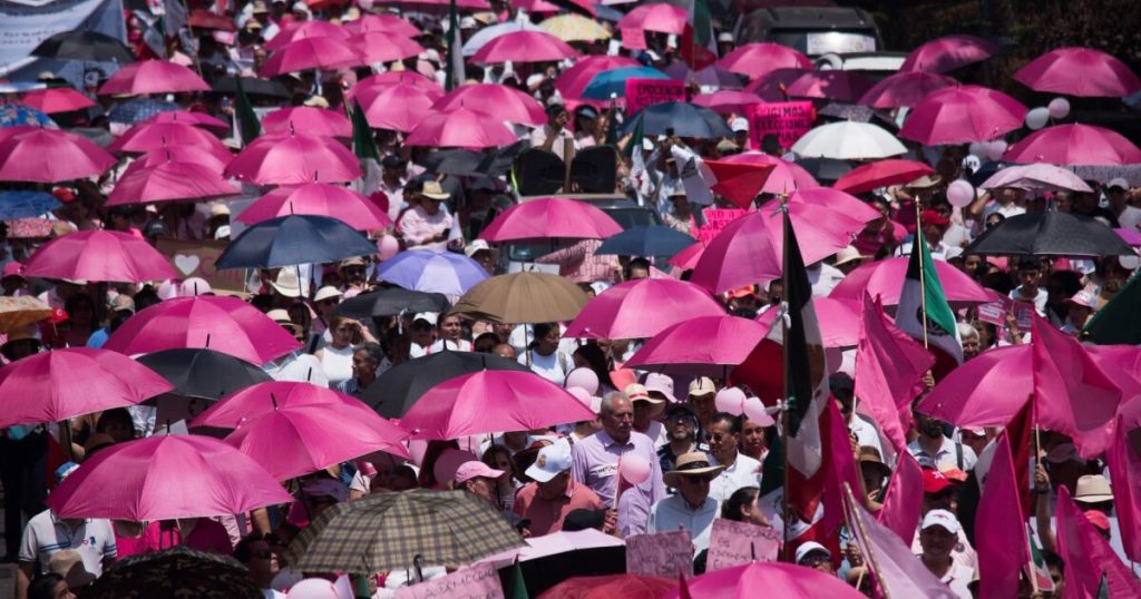 The Pink Tide returns to the streets... now against Morena's overrepresentation