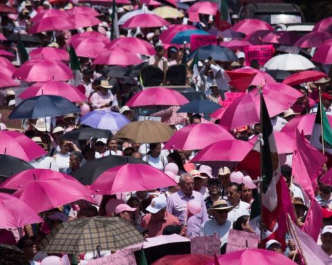 The Pink Tide returns to the streets... now against Morena's overrepresentation