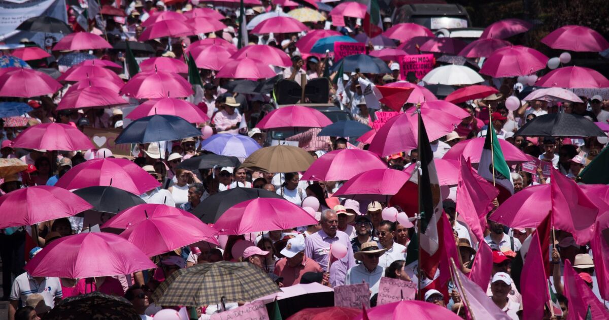 The Pink Tide returns to the streets... now against Morena's overrepresentation