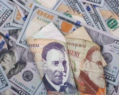 The dollar rose in Uruguay in the last few hours due to the chaos in the world stock markets