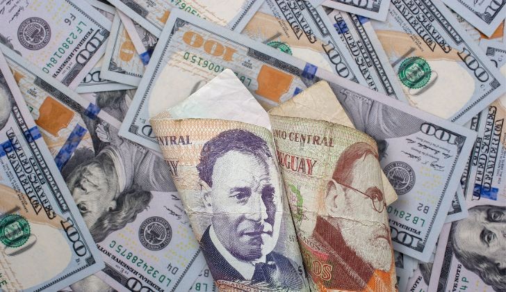 The dollar rose in Uruguay in the last few hours due to the chaos in the world stock markets