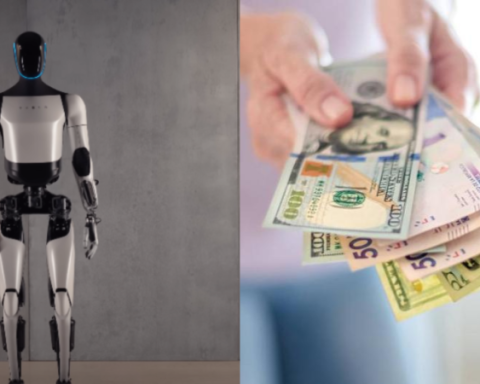 This is how much Tesla will pay to train a humanoid robot: details of the vacancy