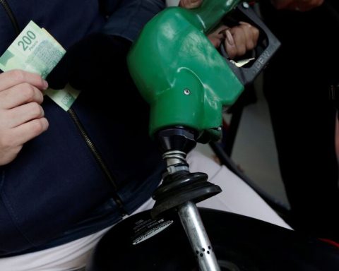 Treasury increases subsidy for Magna gasoline; Premium and diesel, without support