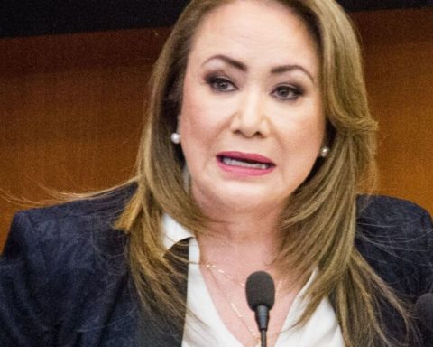 UNAM cannot sanction Yasmín Esquivel for plagiarism, court rules