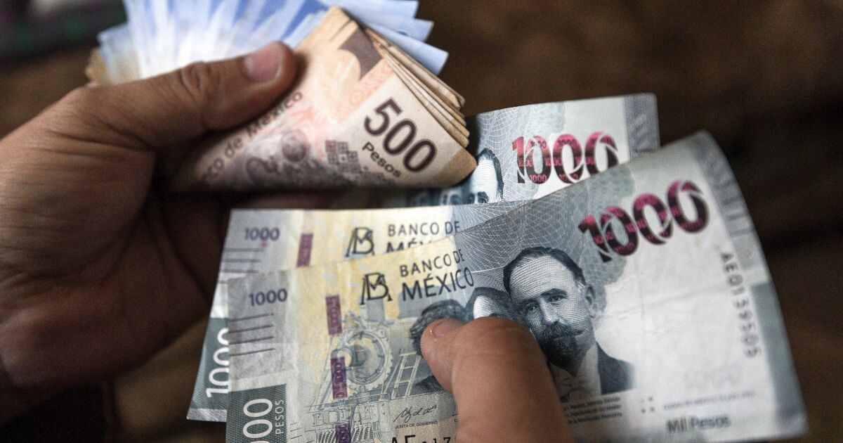 Will Banxico lower the rate? Cetes reduce their yields this week