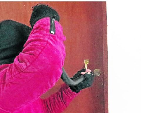 Woman enters a house in Huancayo as an employee and steals 20 thousand soles and artifacts