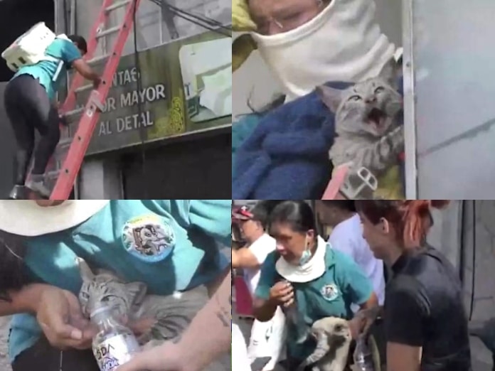 No dudó ni un segundo, Yurani Vanegas, la mujer que arriesgó su vida para salvar a una gata de un incendio