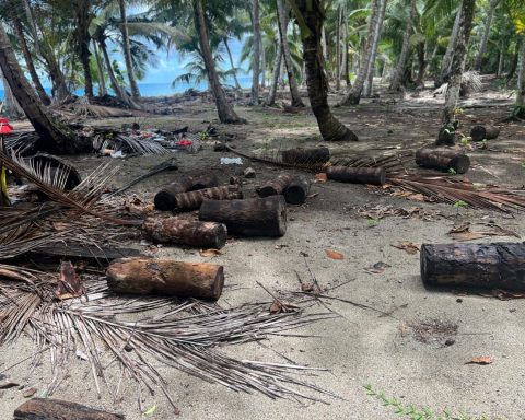 18 illegally built huts dismantled on Rogelio beach, Gaspar Hernández