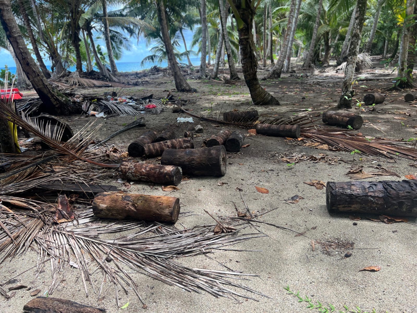 18 illegally built huts dismantled on Rogelio beach, Gaspar Hernández