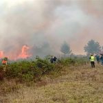 962 firefighters are fighting fires in 17 municipalities of Santa Cruz and Beni