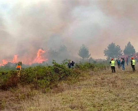 962 firefighters are fighting fires in 17 municipalities of Santa Cruz and Beni