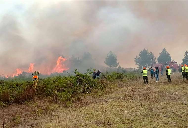 962 firefighters are fighting fires in 17 municipalities of Santa Cruz and Beni