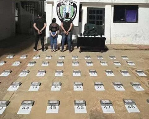 99 panels of cocaine seized