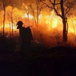 After weeks of complaints, the Government declares a national disaster due to fires