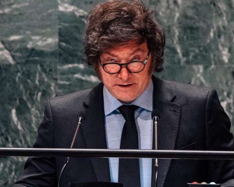 Argentine Milei denounces the "ideological agenda" of the UN in a sharp speech