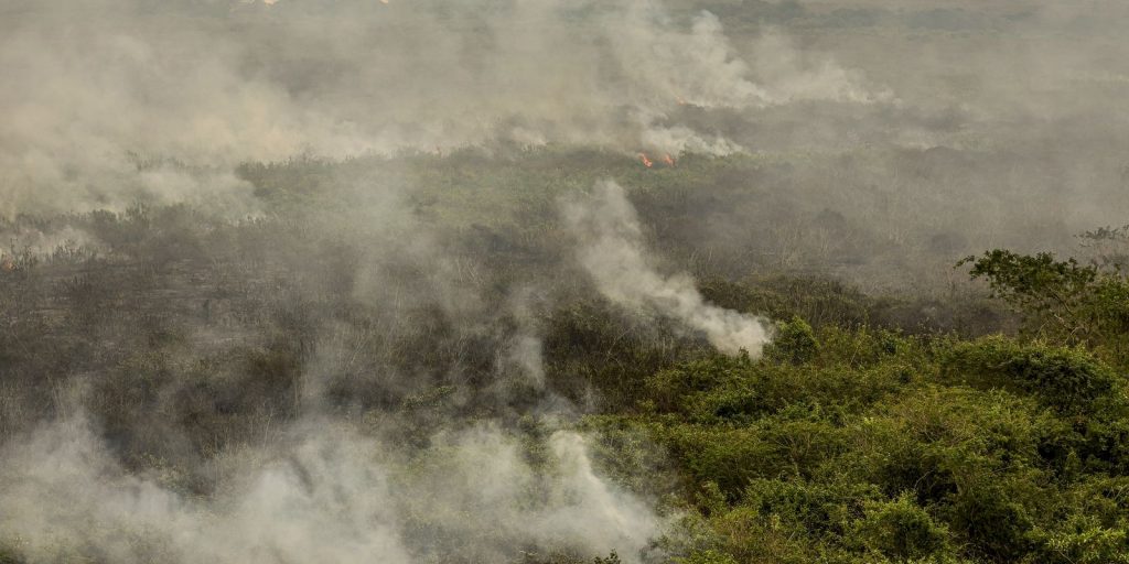 Army soldiers begin fighting fires in Tocantins