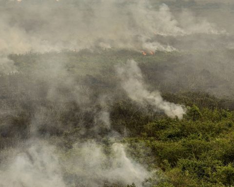 Army soldiers begin fighting fires in Tocantins