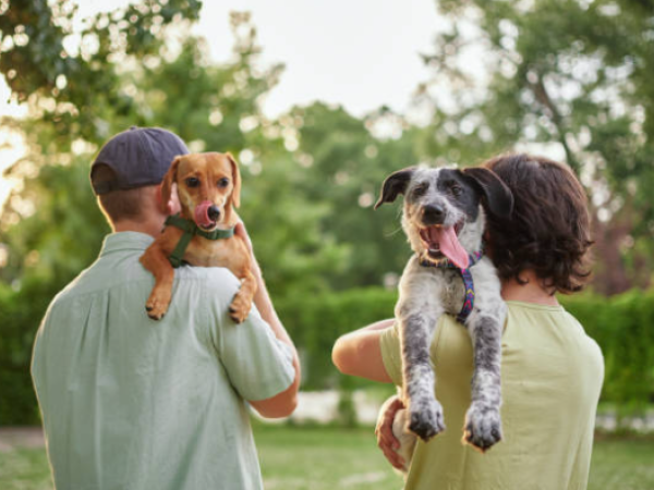 Bill proposes to give paid days of mourning for the death of pets