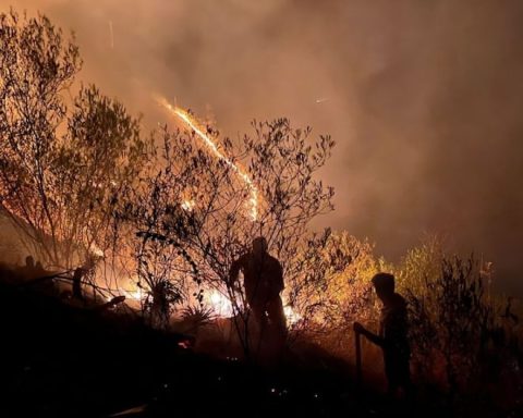 COEN reports 32 active forest fires and more than 2 thousand hectares of crops affected