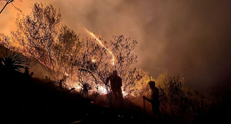 COEN reports 32 active forest fires and more than 2 thousand hectares of crops affected