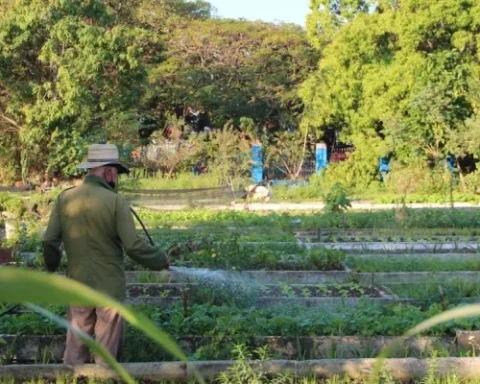 estalinismo, Cuba, mandamases castristas, campesinos, NEP