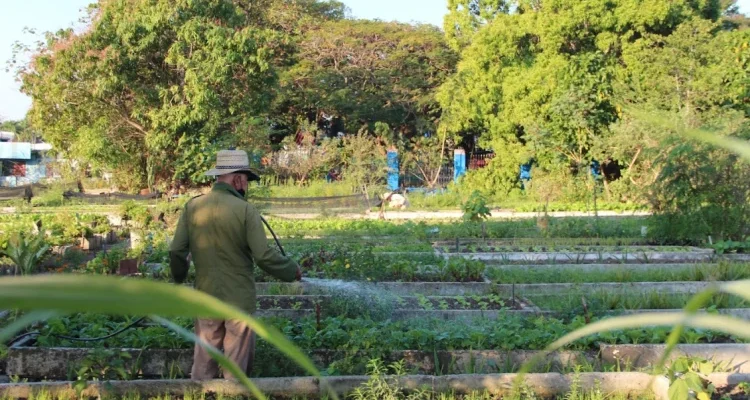 estalinismo, Cuba, mandamases castristas, campesinos, NEP