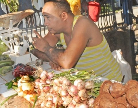 Un agromercado en Guantánamo