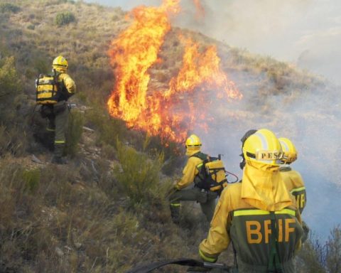 Colombia is fighting 31 fires that have destroyed 11,000 hectares of forest in two weeks