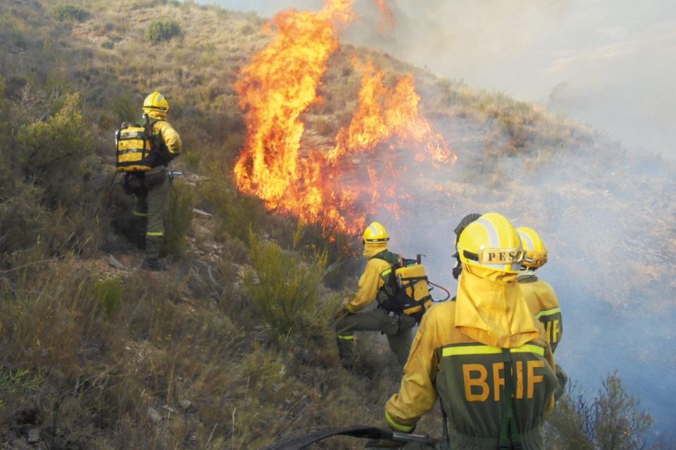 Colombia is fighting 31 fires that have destroyed 11,000 hectares of forest in two weeks