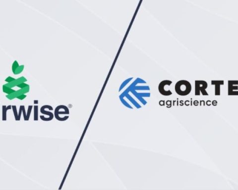 Corteva joins forces with Pairwise to accelerate agricultural gene-editing solutions