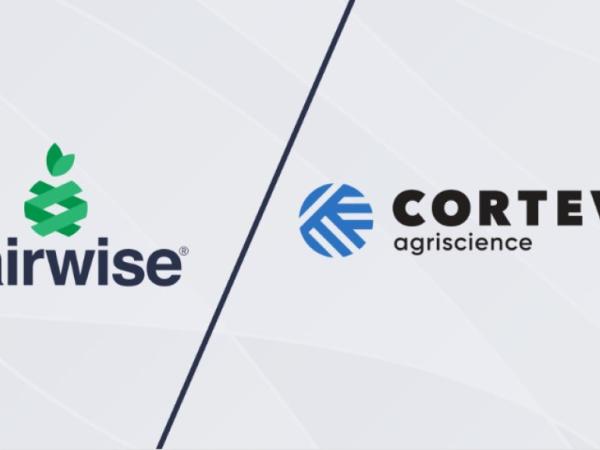 Corteva joins forces with Pairwise to accelerate agricultural gene-editing solutions