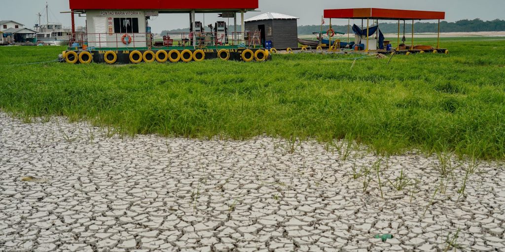 Dry rivers favor illegal hunting and fishing in the Amazon