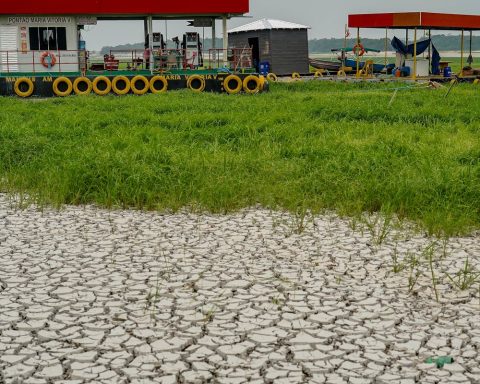 Dry rivers favor illegal hunting and fishing in the Amazon