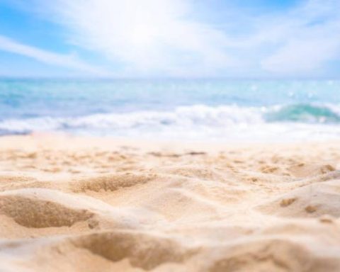 Dune degradation on Atlantic beaches is increasing