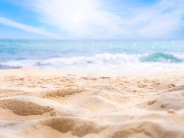 Dune degradation on Atlantic beaches is increasing