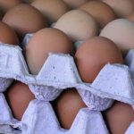 Egg exports to Cuba grow by US$6.7 MM in one year