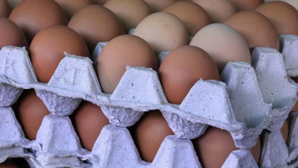 Egg exports to Cuba grow by US$6.7 MM in one year