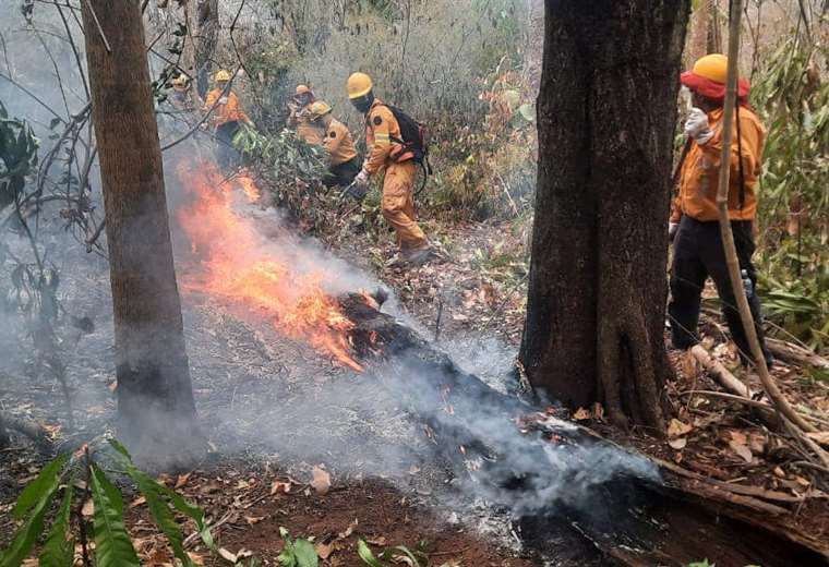 Fire advances in Monte Verde and corners a group of firefighters who need an aerial rescue