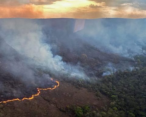 Fire burns 10 thousand hectares of Chapada dos Veadeiros Park